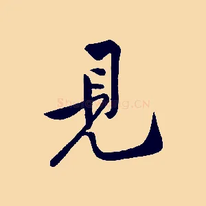 見