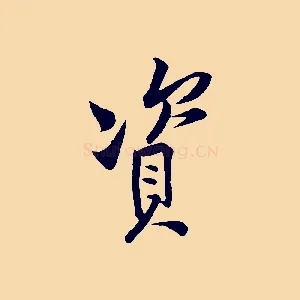 資