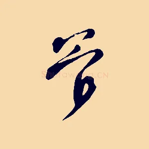 管