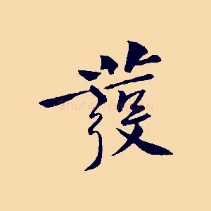 發