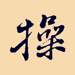 操