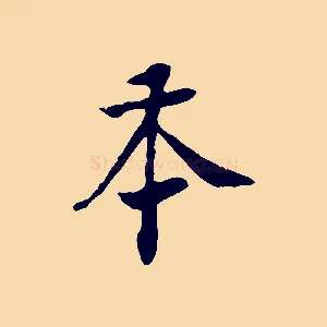本