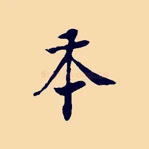 本