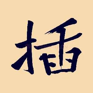 插