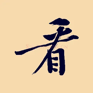 看