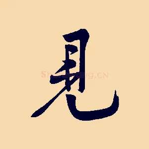見