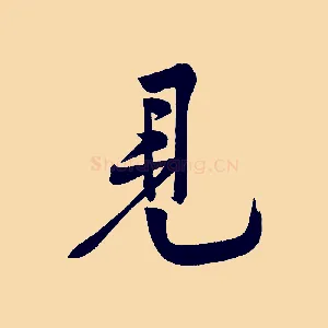 見