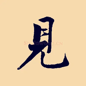 見