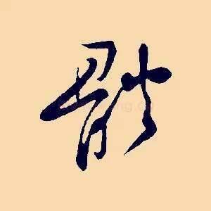 體