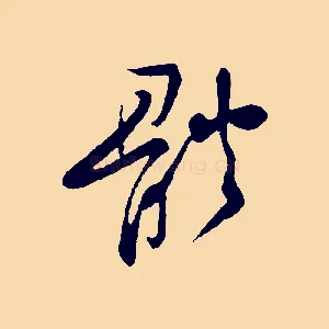 體