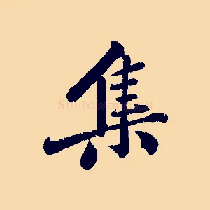 集