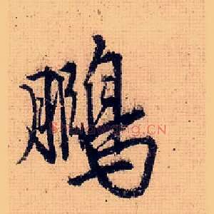 鹏