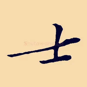 士