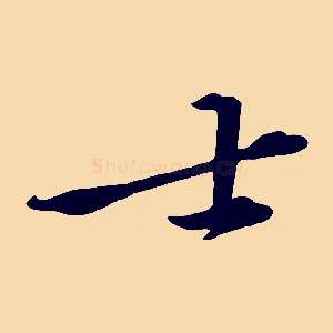 士