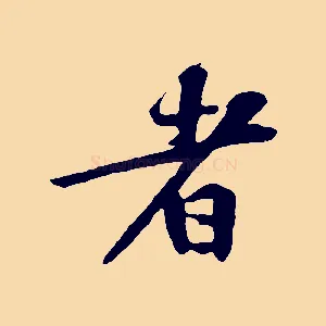 者