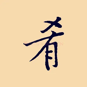肴