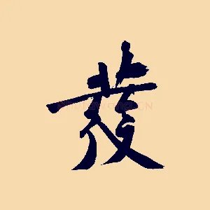 發