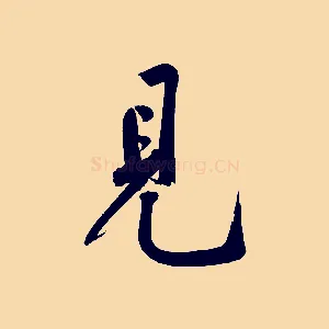 見