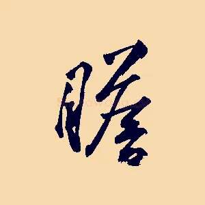 瞻