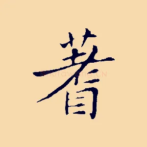 蓍