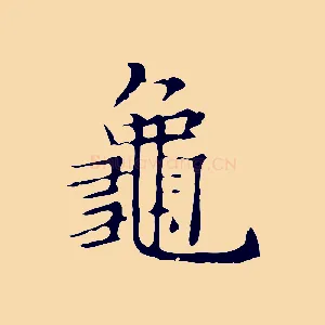 龜
