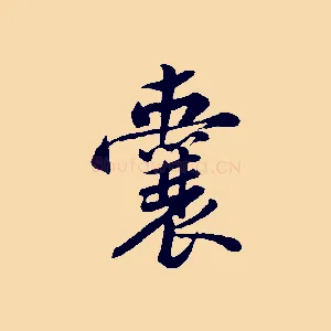囊