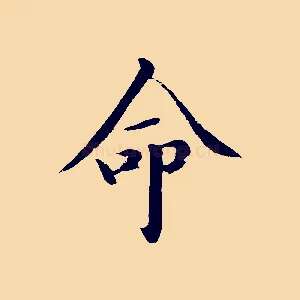 命