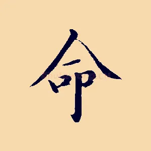 命