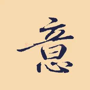 意