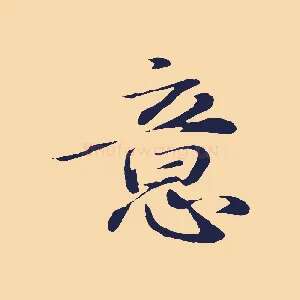 意