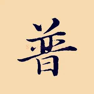 普