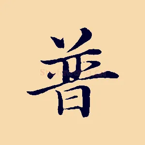 普