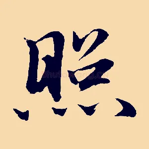 照