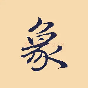 象