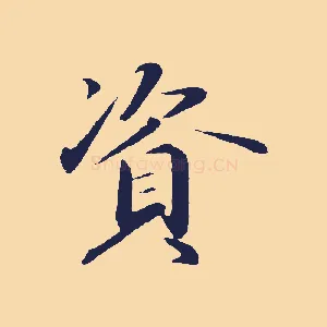 資