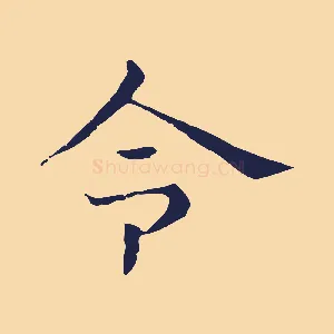 令