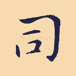 司