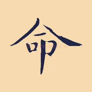 命