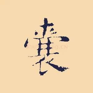 囊