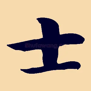 士