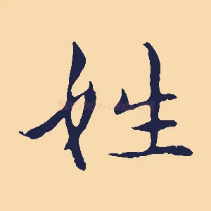 姓