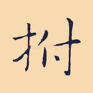 拊