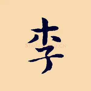 李