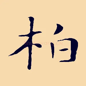柏