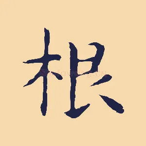 根