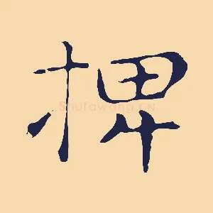 椑