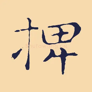 椑