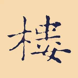 樓