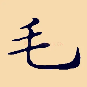 毛