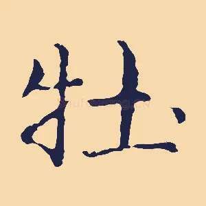 牡